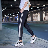 Women Pants Autumn 2019 Classic Side Striped Streetwear Jogger Harem Trousers Elastic Waist Ladies Sweatpants Black/Purple/Red